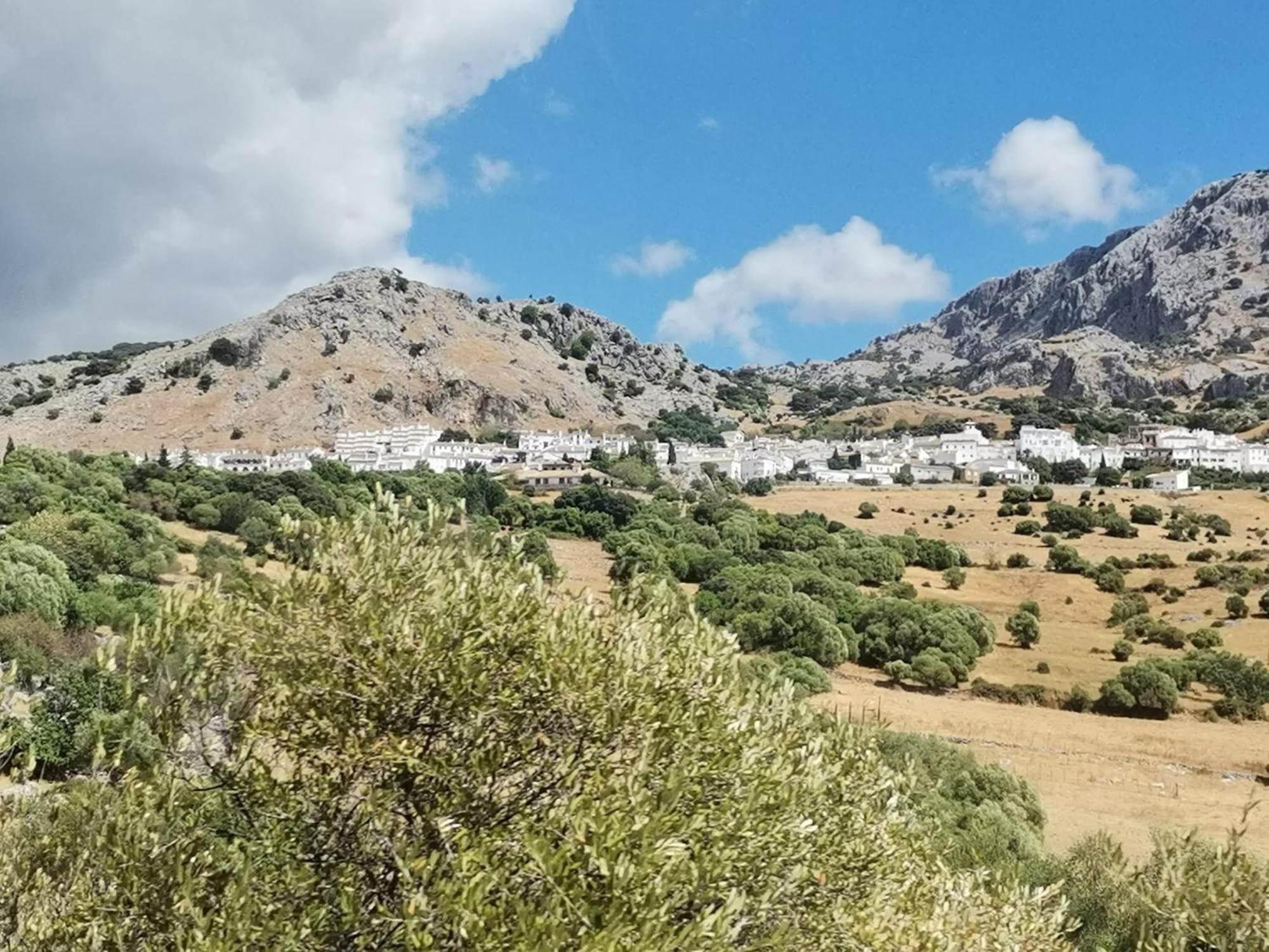 Casa Rural Isabel, En Sierra De Grazalema Benaocaz Exterior foto